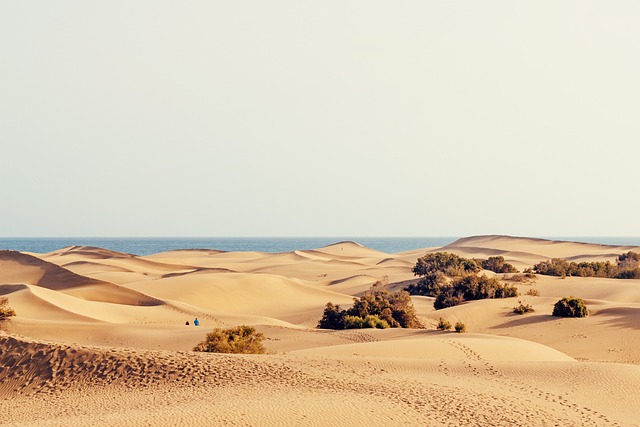 Maspalomas Gran Canaria
